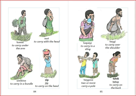 Illustration Pic. Dic. 2