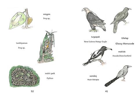 Illustrationen Pic. Dic.