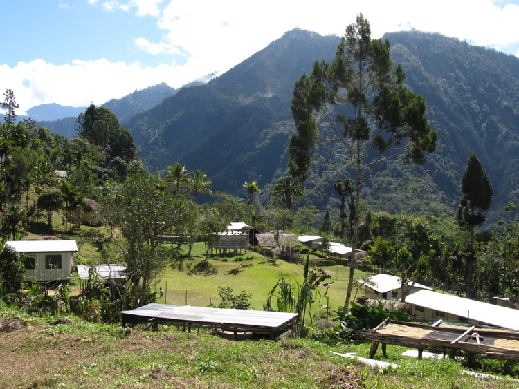 Welcome to the Nek community.