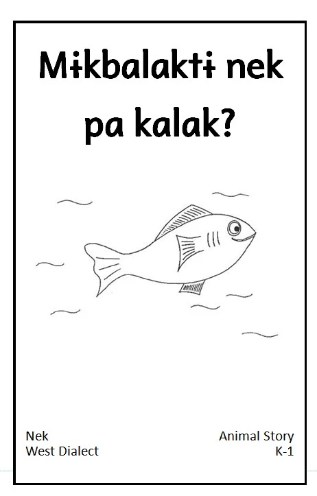 What is the fish looking at?