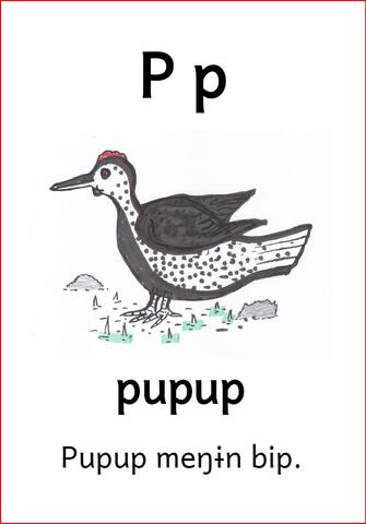 P p P p