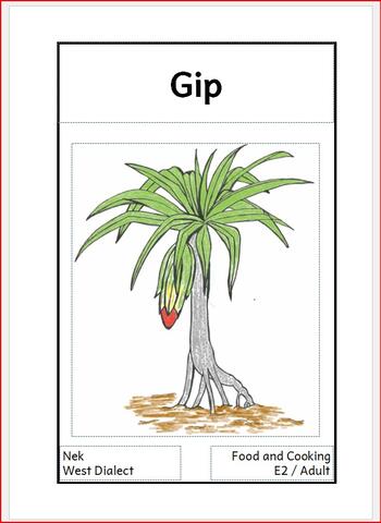 Pandanus Pandanus