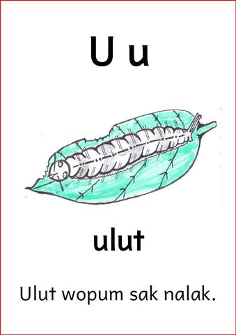U u U u
