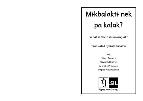 What is the fish looking at?