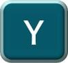 Y Y